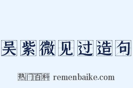 吴紫微见过造句是什么意思的图片